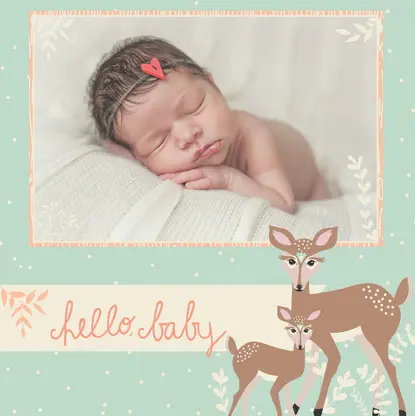 Woodland Baby Girl By Bonnie Christine Woodland Baby Girl By Bonnie Christine