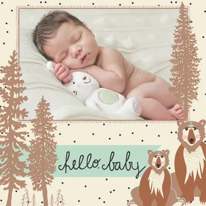 Woodland Baby Boy by Bonnie Christine Woodland Baby Boy by Bonnie Christine