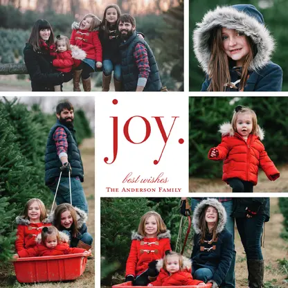 Joy by Studio Calico