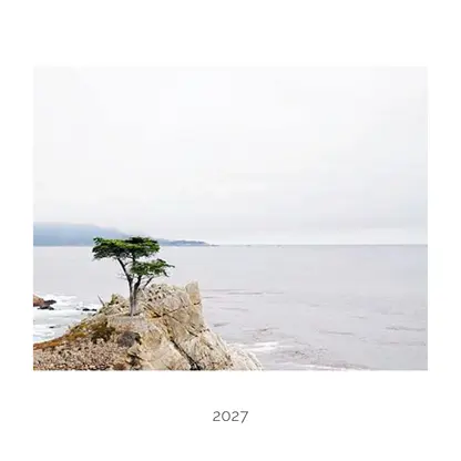Single Photo Layout