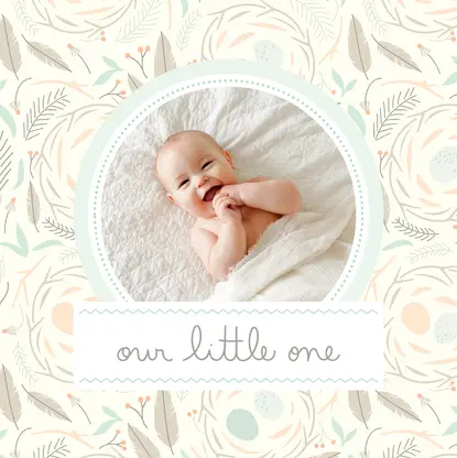 Baby Boy Album by Elizabeth Olwen Baby Boy Album by Elizabeth Olwen