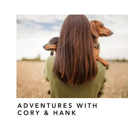 Minimal Everyday Pet Book