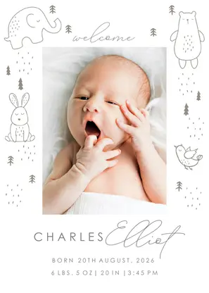 Soft Animals Birth Announcement