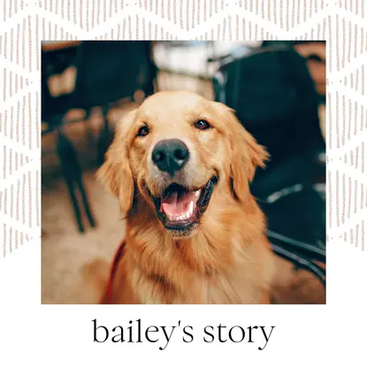 Our Story Pet Book
