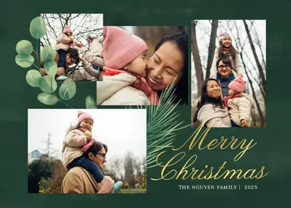 Christmas Greenery by Martha Stewart