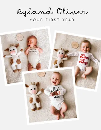 Baby’s Monthly First Year