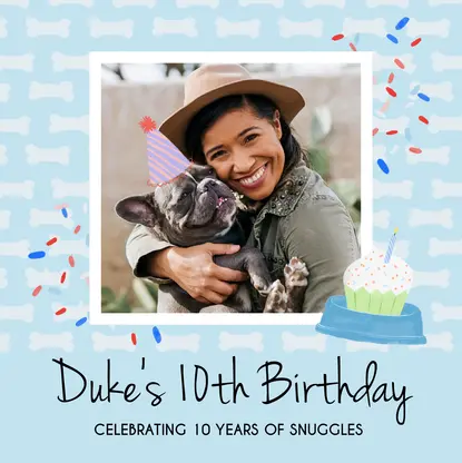 Whimsical Dog Birthday Book