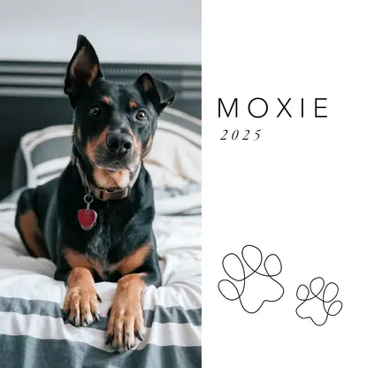 Contemporary Dog Coffee Table Book