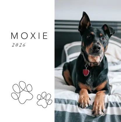 Contemporary Dog Coffee Table Book