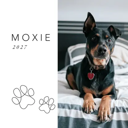 Contemporary Dog Coffee Table Book