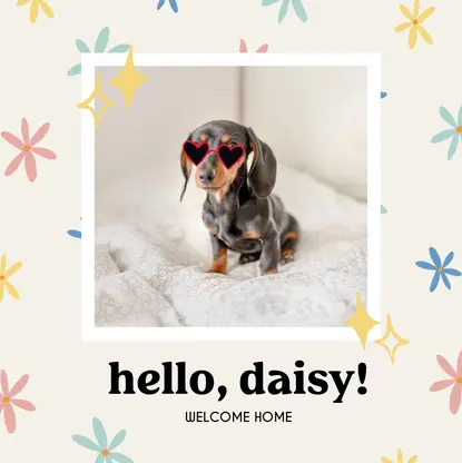 Welcome Home Dog Pet Book