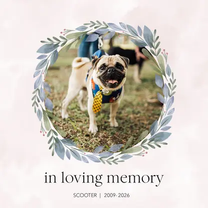 Fur-ever Friend Dog Remembrance Book