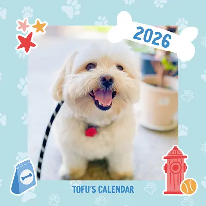 Playful Everyday Dog Calendar
