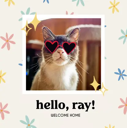 Welcome Home Cat Book