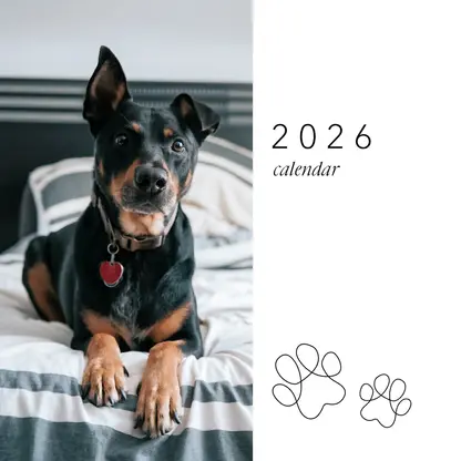 Contemporary Dog Calendar