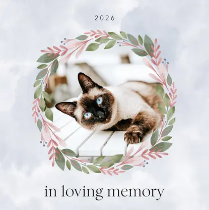 Fur-ever Friend Cat Remembrance Book