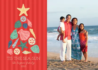 Coastal Shell Christmas Tree Coastal Shell Christmas Tree