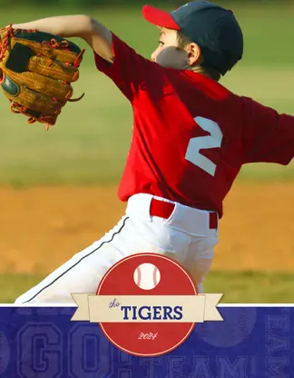 Vintage Baseball