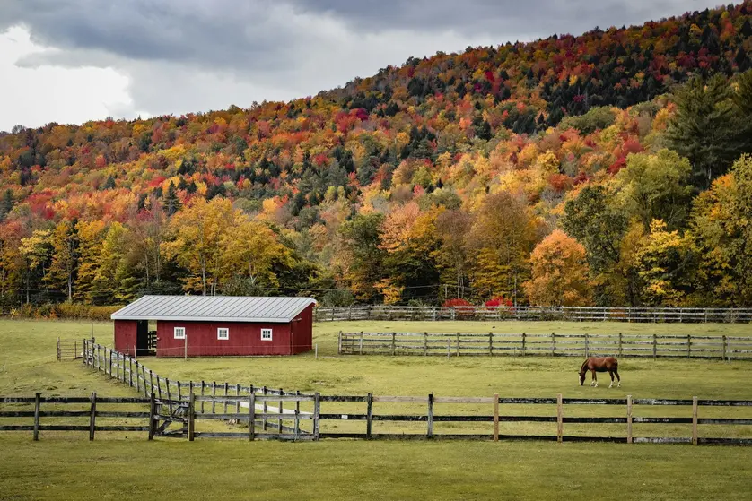 Any eye-catching fall photo