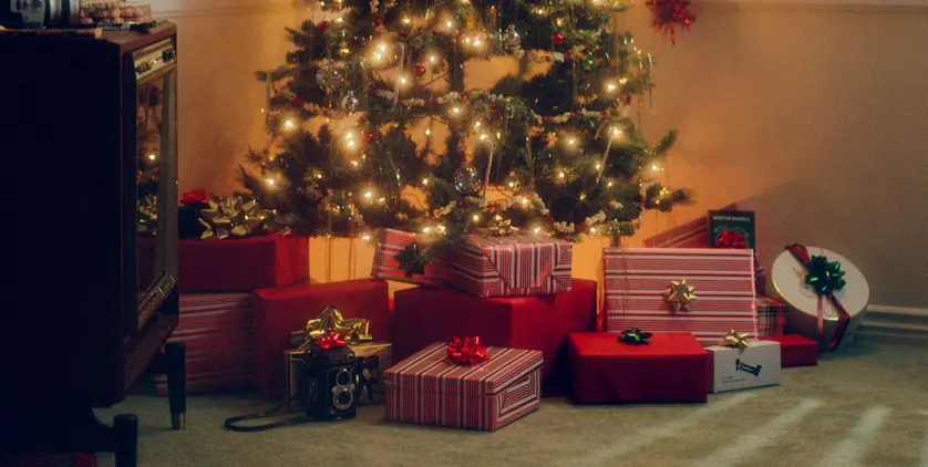 wrapped boxes under a tree